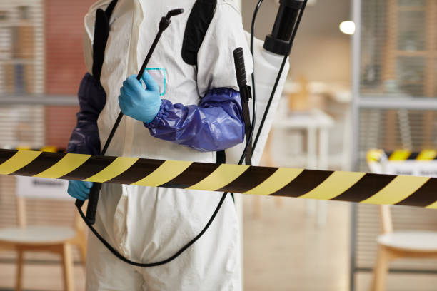 Professional Sewage Cleanup technician working in West Creek, NJ